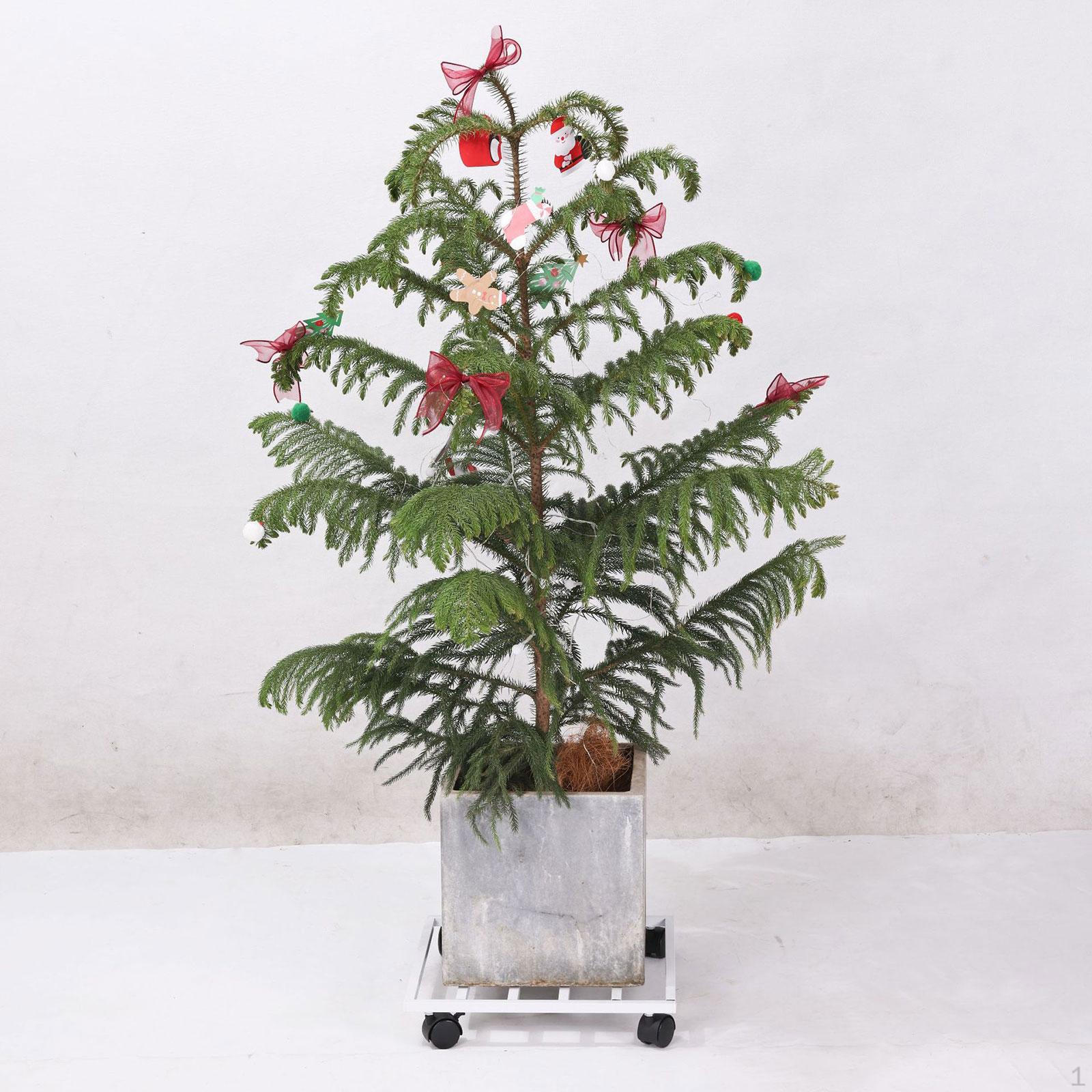 

Подставка для цветочных горшков на колесиках, мобильная подставка для растений, железная стойка, роликовая база для цветочных горшков для помещений белый