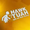 Funny Hawk Tuah Spit On That Thang Stickers Waterproof Car Prank Sticker  Car Accessories