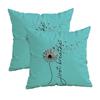New York Usa Extraordinary Pillowcasezipper Design, Decorative Pillowcase, 45X45 Cm Pillowcase