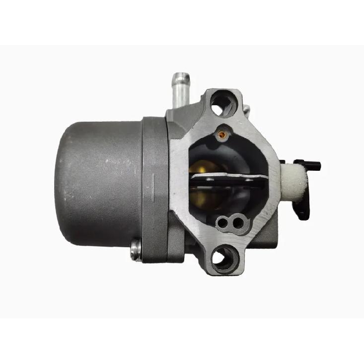 Lawn Mower Carburetor for B&S 285707 289707 28B705 28M707 Engines Replaces 494392 494502 495706 799728