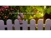 Waterproof Solar Hanging Light for Garden and Lawn Decor