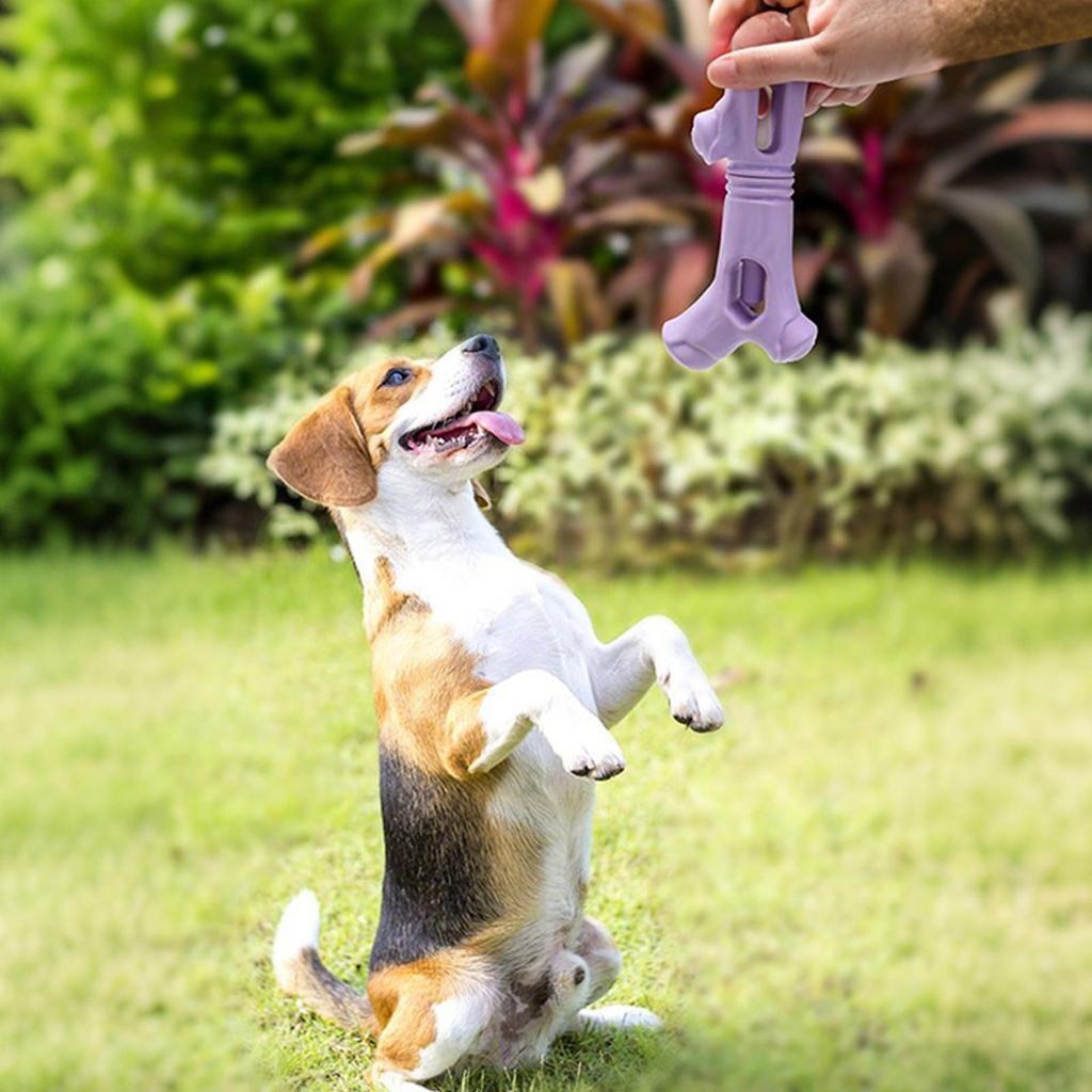 Bully Stick Holder For Large Dogs Puppy Teething Chew Container Puppy Chew Holders For Crate Floor Tile Travel Pet Parents