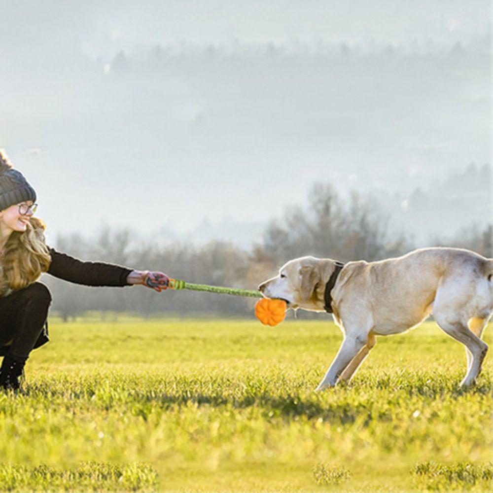 TPR Dog Pumpkins Ball Toy Bite Resistant Dog Chew Toys Funny Halloween Pumpkin Dog Toy  Halloween