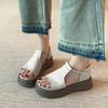 Spot!! Retro casual platform open-toed beautiful sandals women's summer new versatile soft-soled heightening Roman shoes