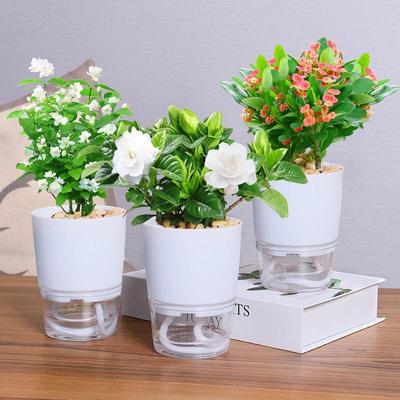 Large-Caliber Transparent Self-Watering Plastic Flower Pot with Double Layer for Home