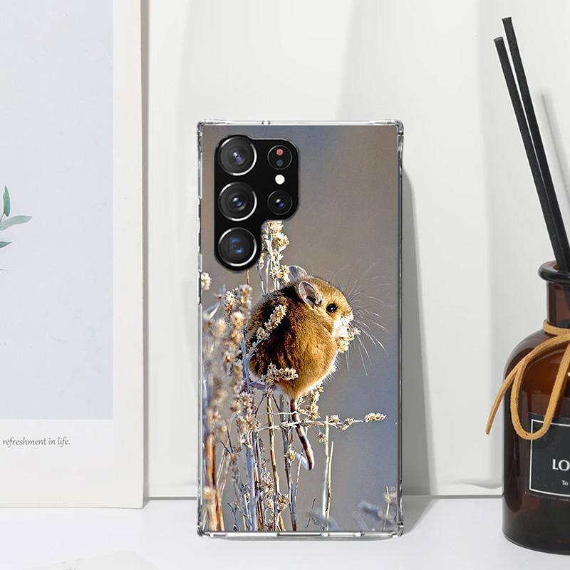 Cute Lovely Pet Hamster Phone Case For Samsung Galaxy S25 S24 S23 S22 Ultra S21 FE S20 Plus S10 + S10E Art Fundas Back Cover S24