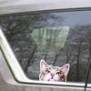 Hinter den Kulissen Katze Autoaufkleber Aufkleber Katze schaut aus Autofenster Wasserdicht Vinyl Stoßstange Laptop Geschenk für Katzenliebhaber Outdoor-Aufkleber TM223