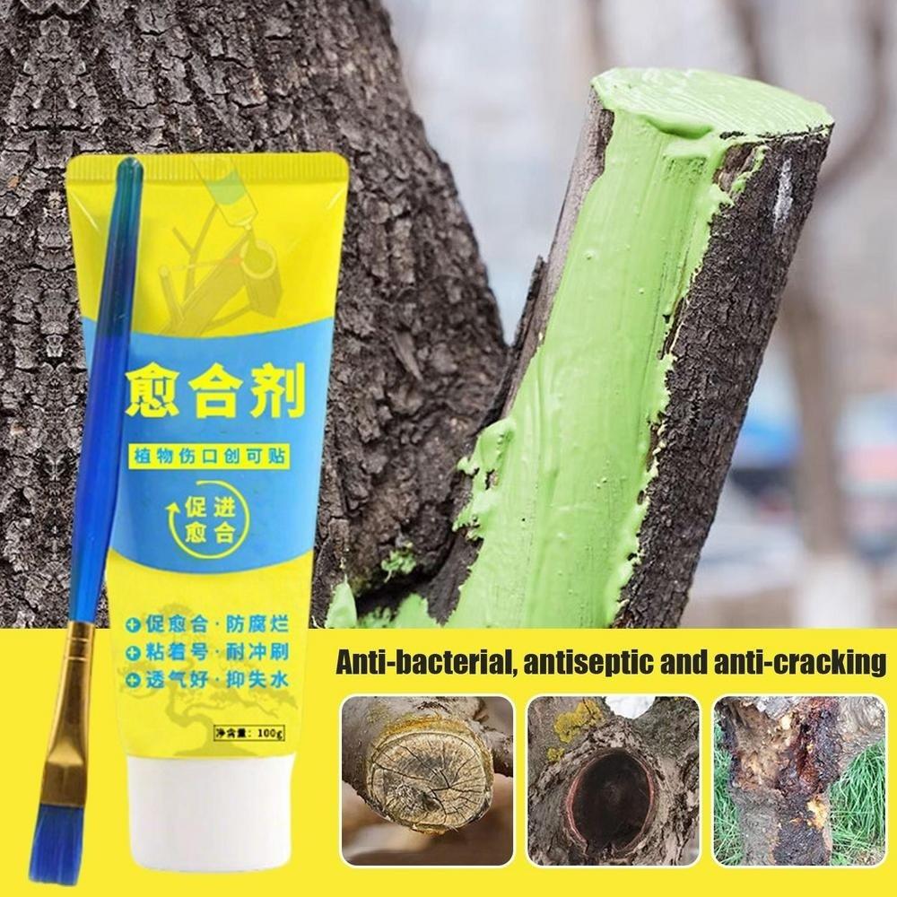 Smear Agent Tree Wound Sealant with Brush Plant Restoring Sealant New Pruning Compound  Tree Care