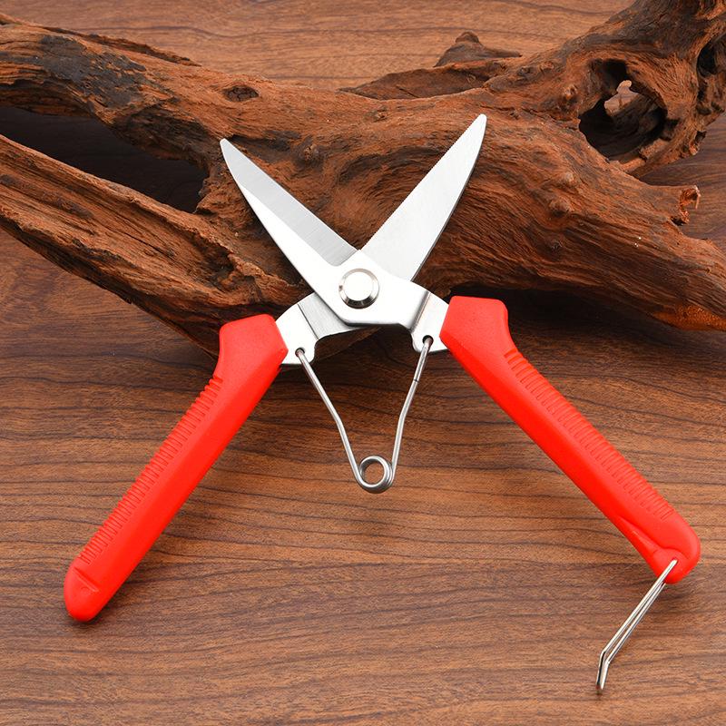 Stainless Steel Garden Pruning Shears - Fruit Picking & Thinning Scissors