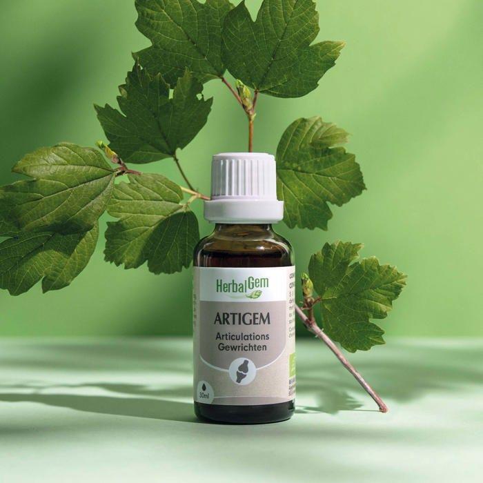 Herbalgem Gemmotherapy Complex Artigem Joint Bio 30ml