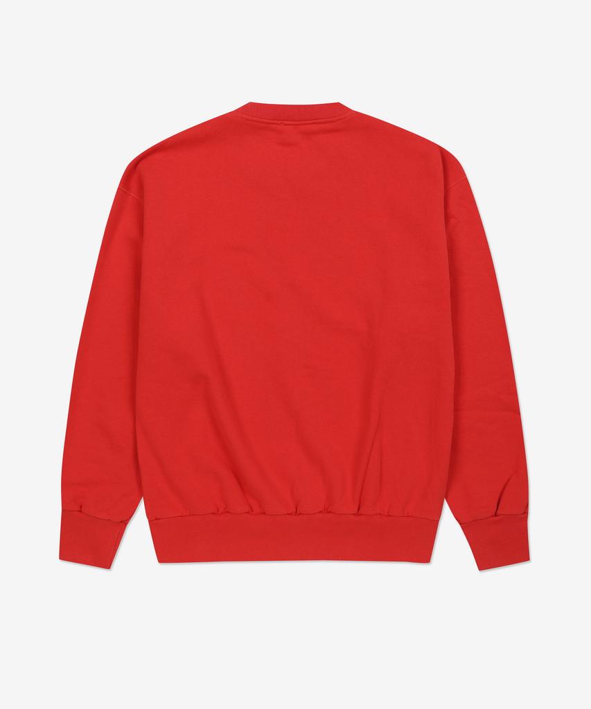 ARIES Mini Problem Sweatshirt - Red / Star20009Rd