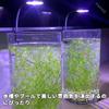 PAVIKE Aquarium Clip Light Lighting Small Growth Light Clip Type Aquarium Light with Timer 28 Lamps 3 Levels Adjustable 10 Levels of Light 6W 360