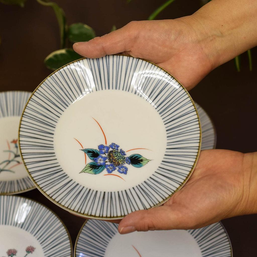Waza no Kura Plate Set: Stylish Kutani Ware Medium Plates (5-Piece Set) with Five Flowers Design. High-Quality Japanese Dinnerware. Made in Japan. A P