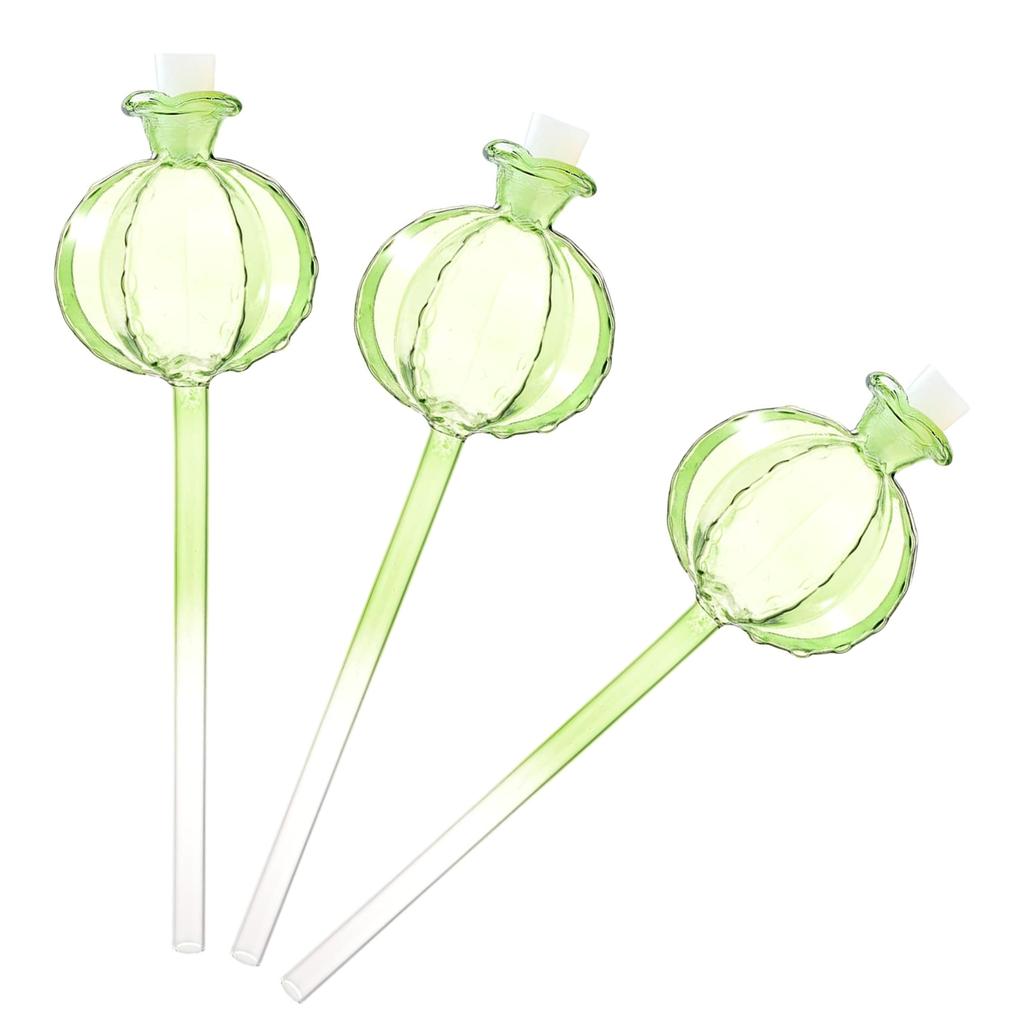 Glass Plant Watering System Device Pomegranate Self Watering Planter Insert Glass Automatic Plant Waterer for Garden