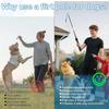 Flirt Pole for Dogs Interactive Dog Pole Toy for Large Medium Small Dogs, Sports Dog Teaser Pole for Tug of War, Flirt Pole with Lure Ball (Standard