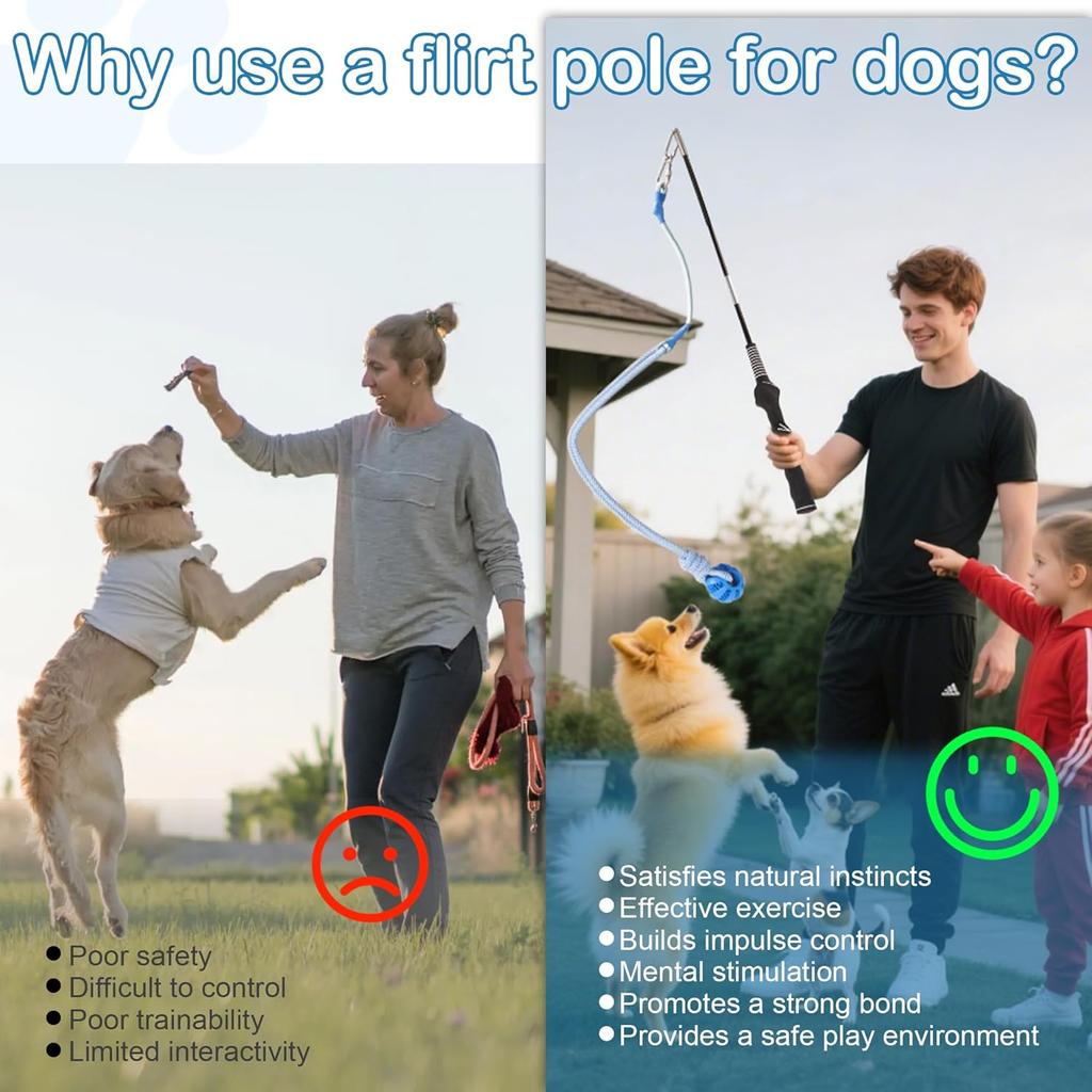 Flirt Pole for Dogs Interactive Dog Pole Toy for Large Medium Small Dogs, Sports Dog Teaser Pole for Tug of War, Flirt Pole with Lure Ball (Standard