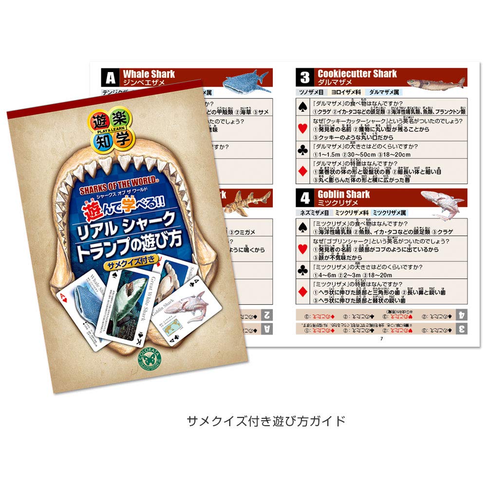 Carolata Real Shark Learning Playing Cards 14 Types With Quiz Animal Toys Educational Toys Playing Cards Games Encyclopedia Gifts Presents (Shark / /