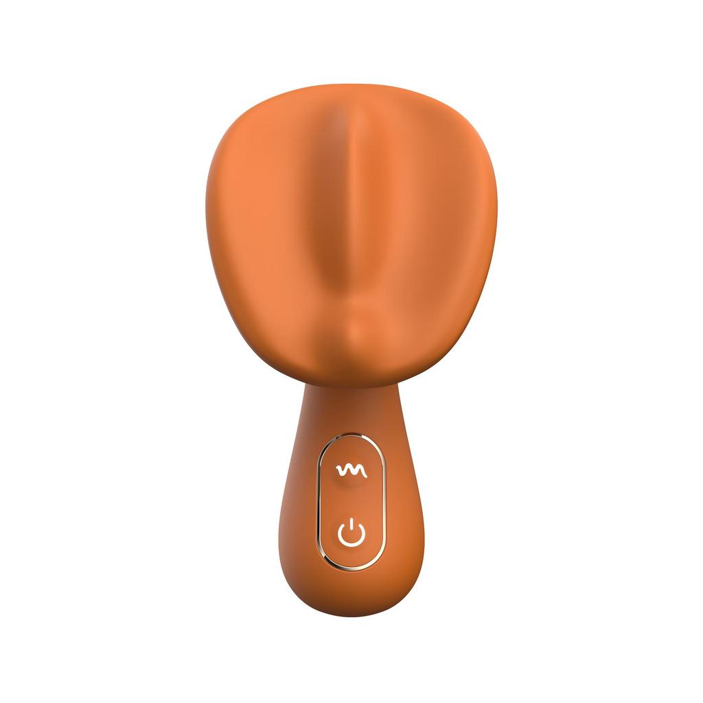 Ai Er Le 1st Gen Rechargeable Female Massager Vibrator