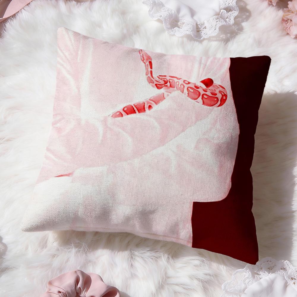 Band S-Sir Chloe Kuddfodral Premium Komfort Vändbart Kuddfodral - Två i Ett Design för Alla Rum & Bilinteriörer