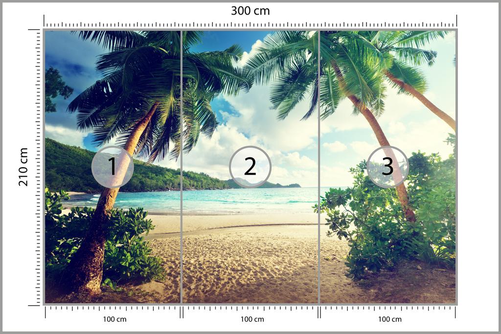 Photomural Palm Trees On The Seychelles Structural Vinyl 300x210