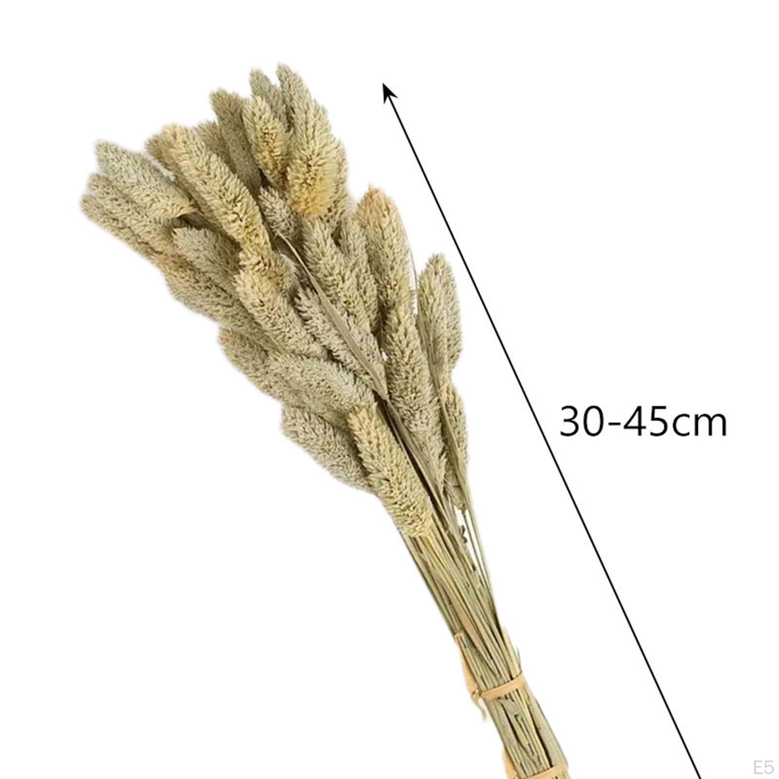 Букет из сушеных цветов — фото 4