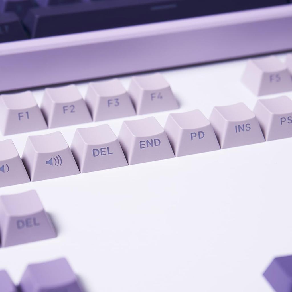 PBT Double Shot Keycaps for Mechanical Keyboards, 134 Key Gradient Purple Backlit OEM Profile Keycaps with Side Print Shine-Through Custom Keyboard