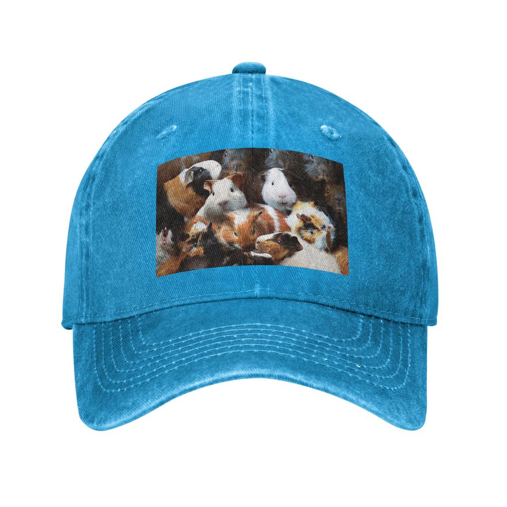 Guinea Pigs Baseball Caps Fashion Denim Hats Outdoor Adjustable Casquette Sports Baseball Cowboy Hat for Unisex Women