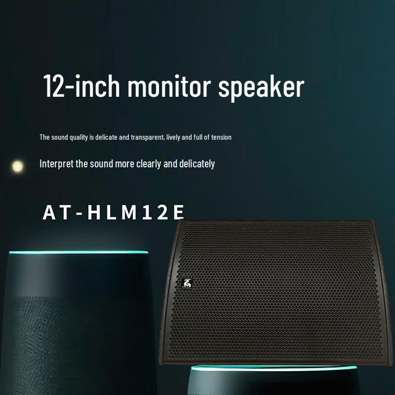 KRFIONTU 12-inch Conference Monitor Speaker (CN Version)