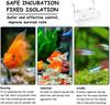 Aquarium Isolation Box Transparent Acrylic Fish Tank Small Fry Breeding Box Single Grid Double Grid Aquarium Supplies