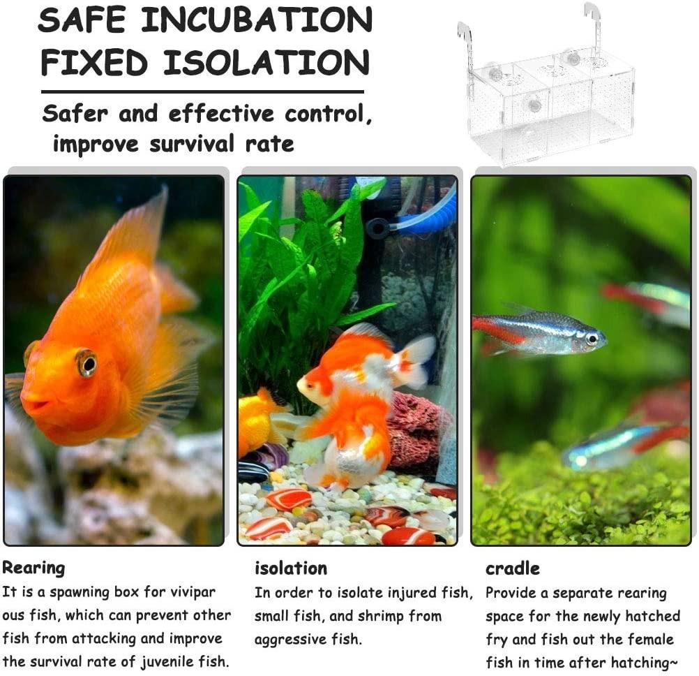 Aquarium Isolation Box Transparent Acrylic Fish Tank Small Fry Breeding Box Single Grid Double Grid Aquarium Supplies