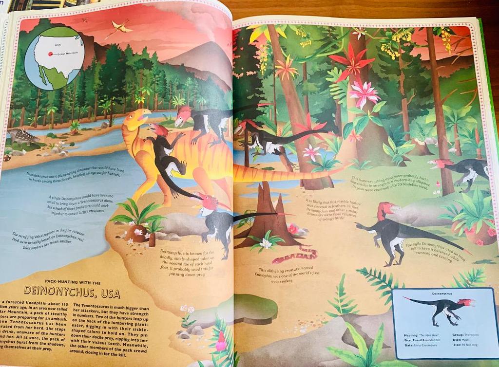 [USED] World Dinosaur Atlas Dinosaur Picture Book Encyclopedia (English Book)