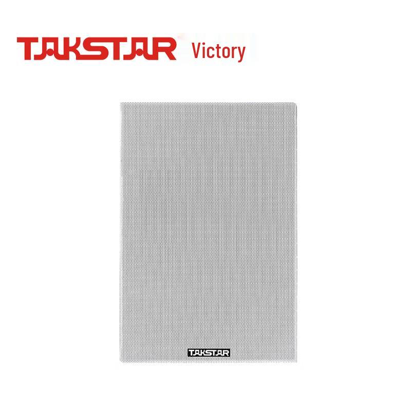 TAKSTAR EBS-6T Fixed Impedance In-Wall Speaker