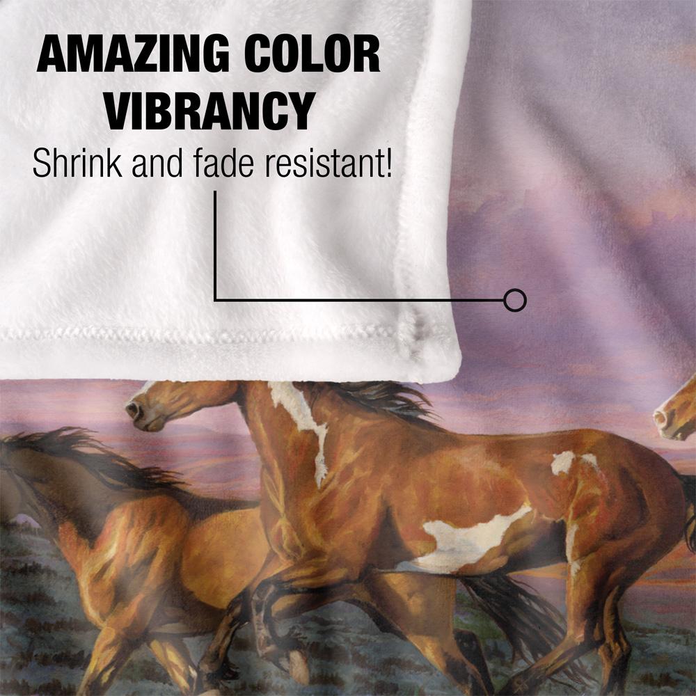 Wild Wings Sunset Cruise 2 Silky Supersoft Blanket