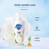 Safeguard Gentle Care Kamelien Schäumendes Duschgel Set