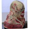 Horror Halloween Latex Mask For Adults With Creepy Zombie And Monster Design
