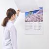 New Japan Calendar 2026 Wall Beautiful Japan with 610 X NK110 Calendar, Chronology, 425mm,