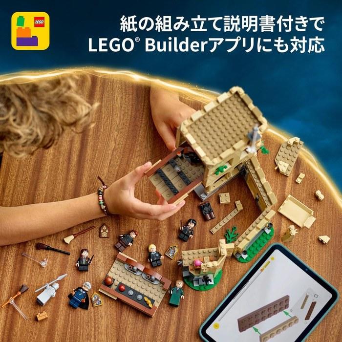 LEGO Harry Potter Hogwarts Castle: Flying Lesson 76447 (Multicolor)