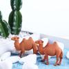 2/6/10pcs Desert Ornament Model Camel Fairy Garden Home Decoration Miniature Figurines