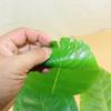 4Pcs Vibranting Tropicals Banana Leaves Home and Outdoor Decoration Realistic Texture Easy Shape Adjustment Designs