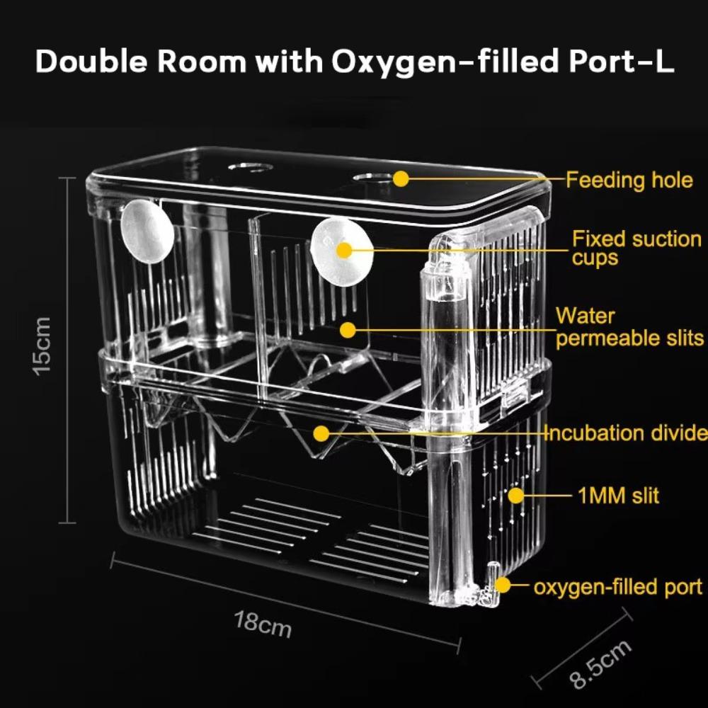 Double Room Clear Fish Isolation Box with Oxygen-filled Port Baby Fish Breeder Box Fish Tank Incubator Box Hatching House