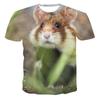 Funny Hamster Rabbit Animal 3D Print T-Shirts Summer Men Women Casual Oversized Short Sleeve T Shirt Male Tees Tops Man Clothing
