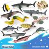 Marine Animal Simulation Toy Set: Tuna, Moray Eel, Squid, Whale Shark, Hammerhead Shark