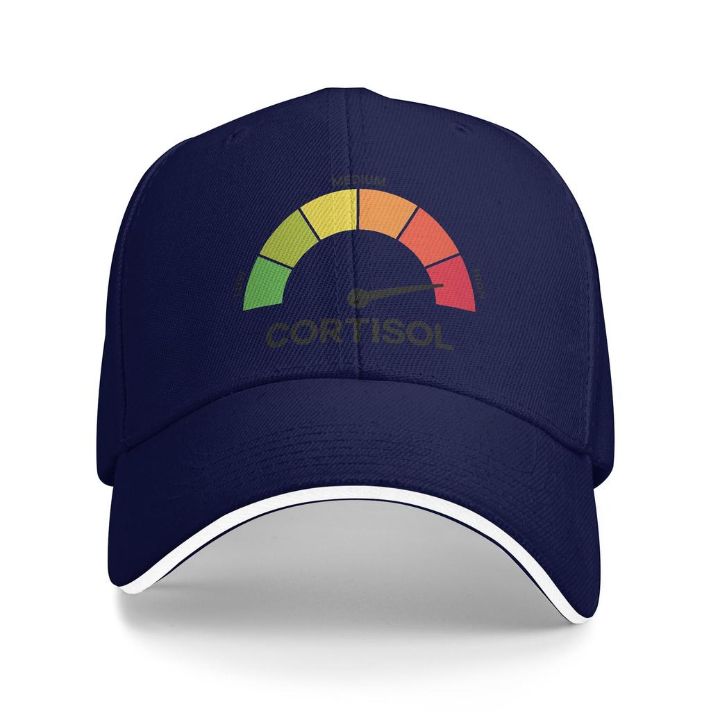 Funny Cortisol High Level Stress Meter Meme Baseball Cap Fashion Couple Hip Hop Hats Hot Sale Print Kpop Rock Baseball Caps Gift