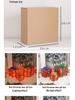 Christmas Gift Box Set: 3-Piece Fairy Light Decorations for Birthday Parties and Ornaments