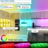 Zigbee3.0 DC12V Neon RGB LED Streifen Dimmbar Smart Control Ambiente Hintergrundbeleuchtung Solf Tape Schrank Licht Raum Dekor für Google