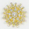 Elegant European Gold-Plated Brooch: High-End Women's Lapel Pin Accessory