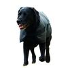 Weatherbeeta Comfitec Classic Waterproof Dog Coat