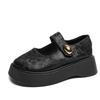 Round Head Printing Gentle New Chinese Thick Heel Mary Jane Shoes Women 2025 Autumn New Fairy Casual Platform Shoes