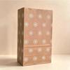 In-Stock Kraft Paper Bags - Creative Disposable Cookie and Candy Packaging for Birthdays (6 Designs)