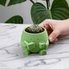 Smiling Face Planter 3D Plant Pot Printed Cute Decorative
